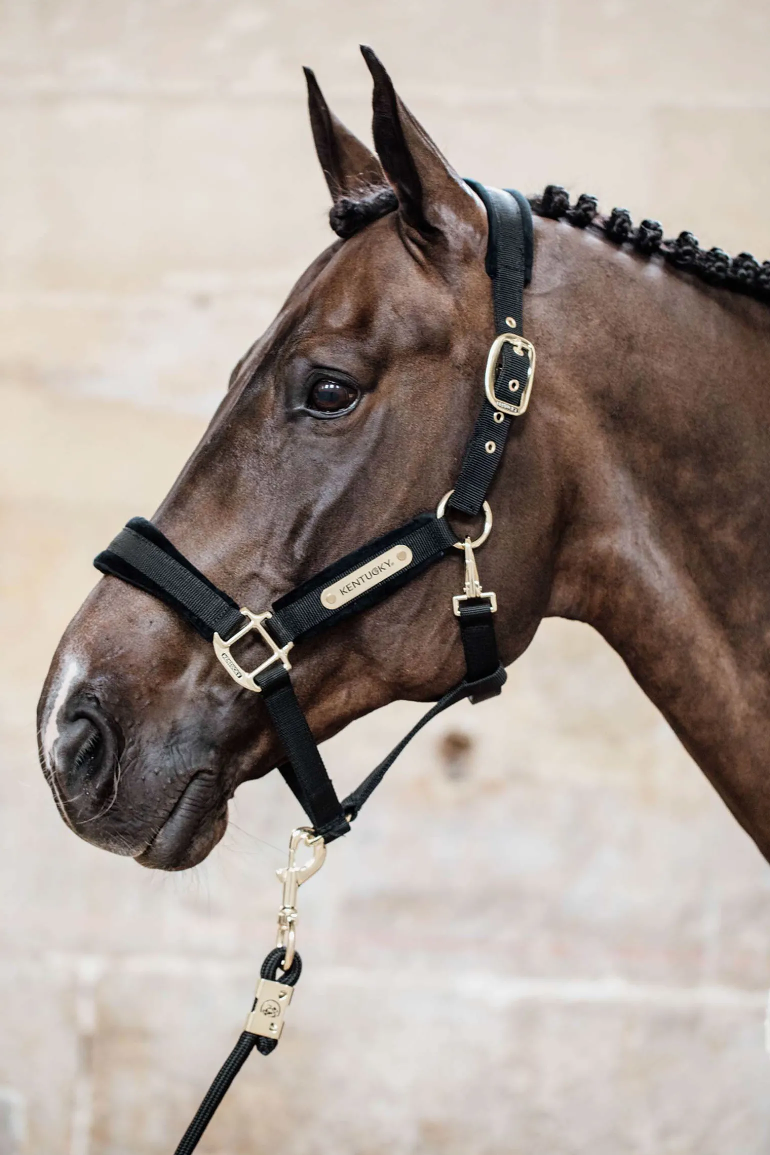 Kentucky Horsewear Velvet grime
