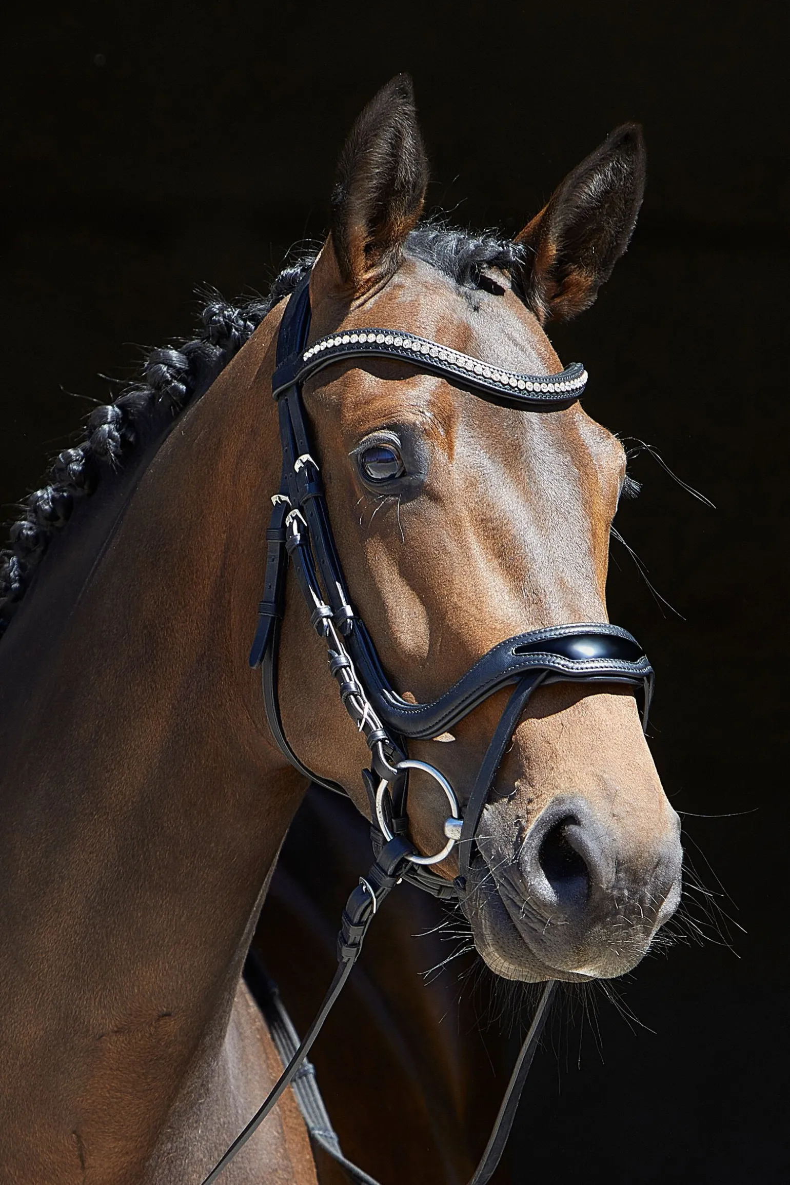 Kieffer Anouk Softtech Line hodelag