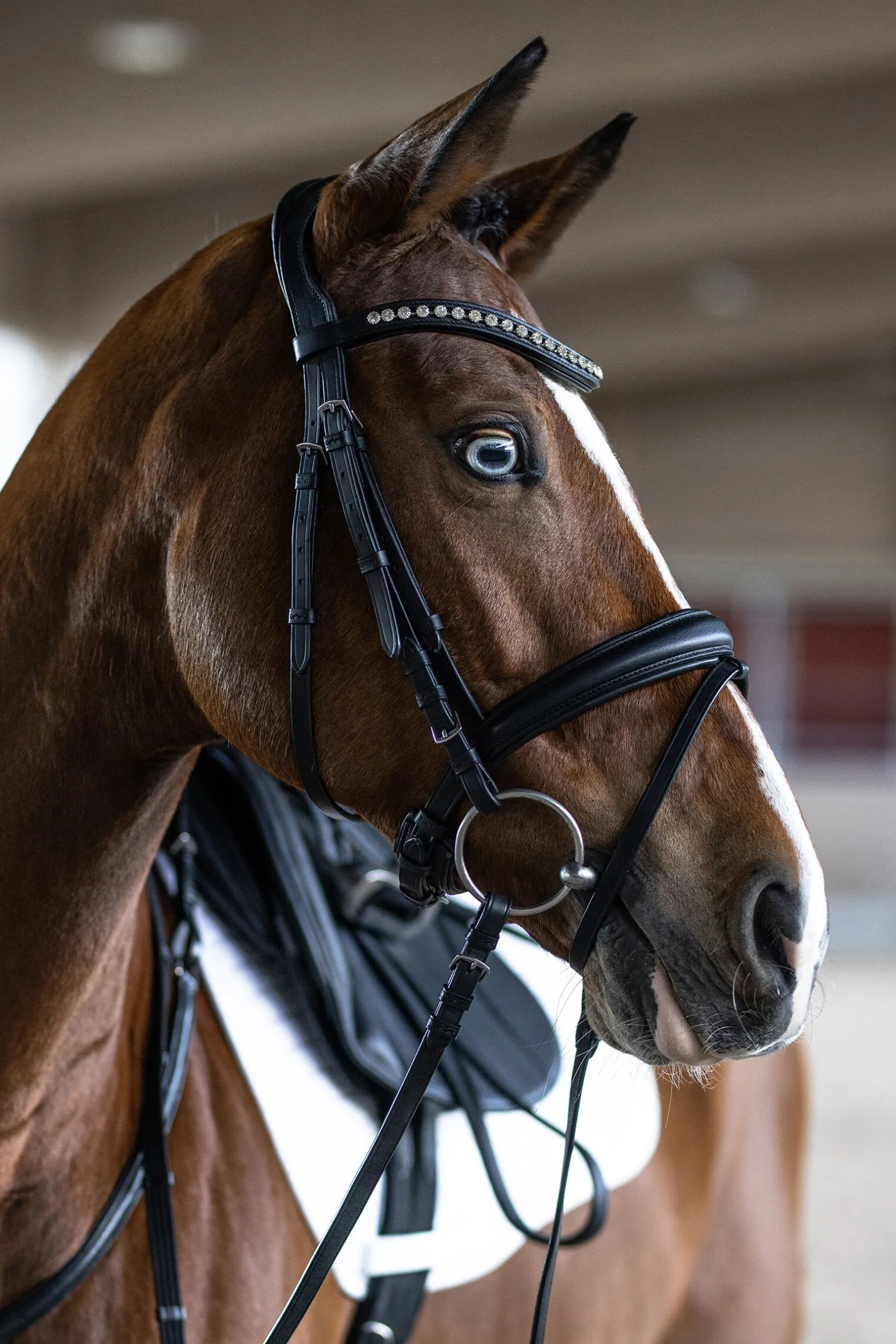 Kieffer Essentials Xia hodelag