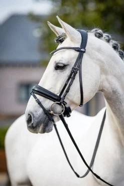 LeMieux Classic dressurhodelag