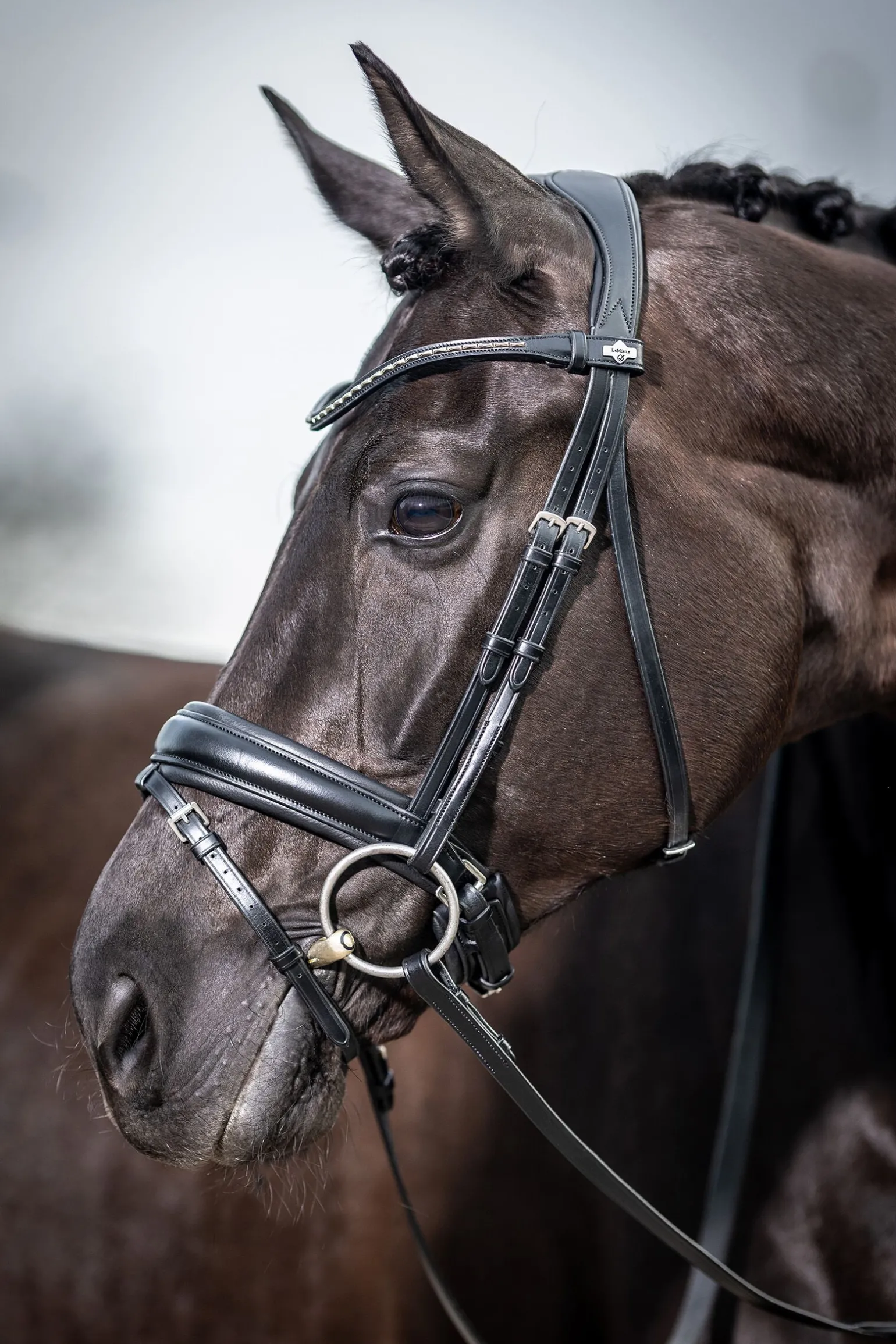 LeMieux Classic dressurhodelag
