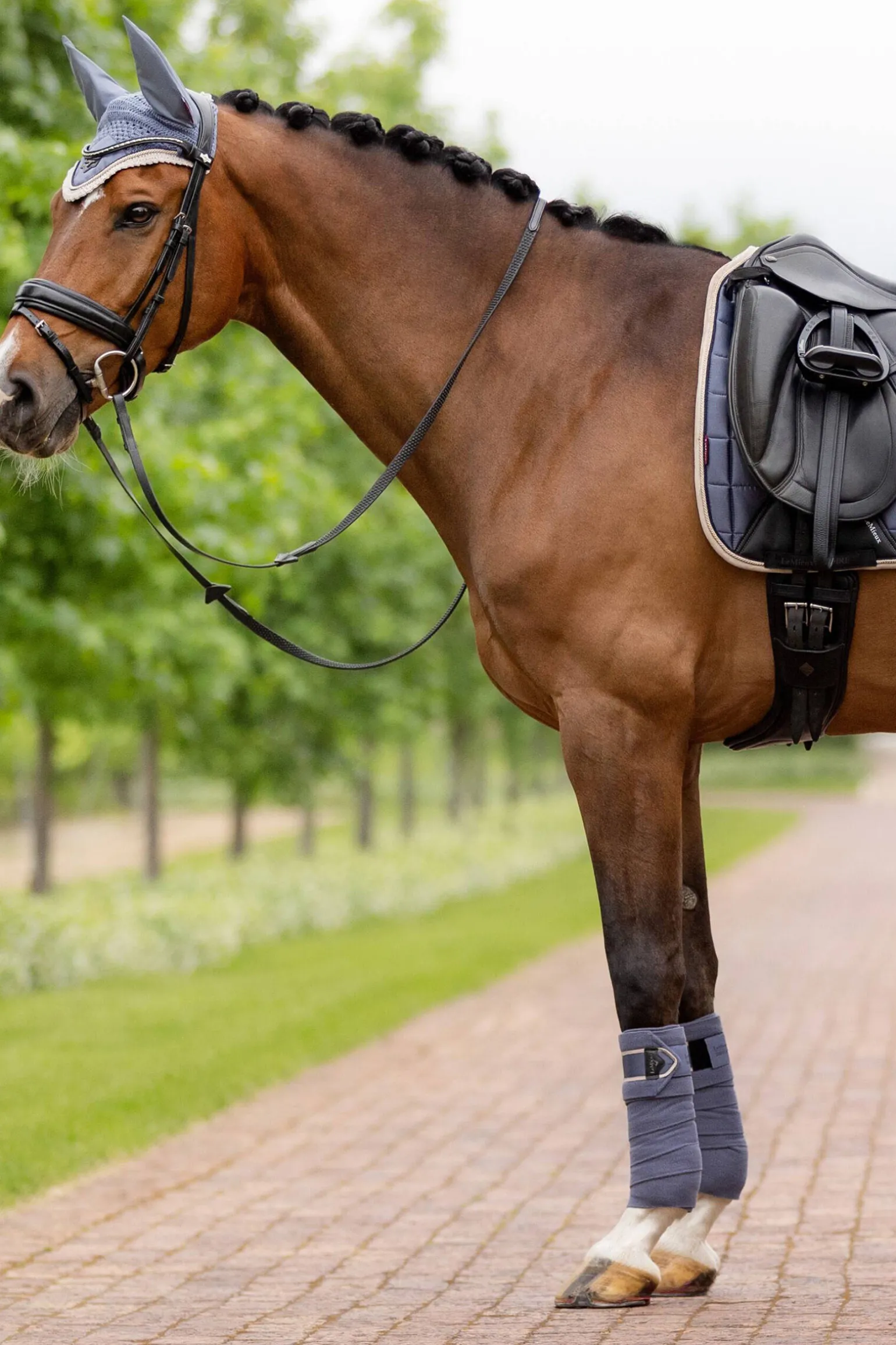 LeMieux Loire polobandasjer