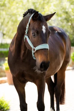 LeMieux Versailles Halter