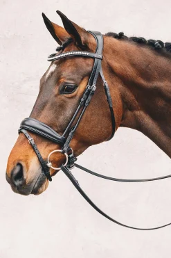 Schockemöhle Sports Malibu anatomisk hodelag