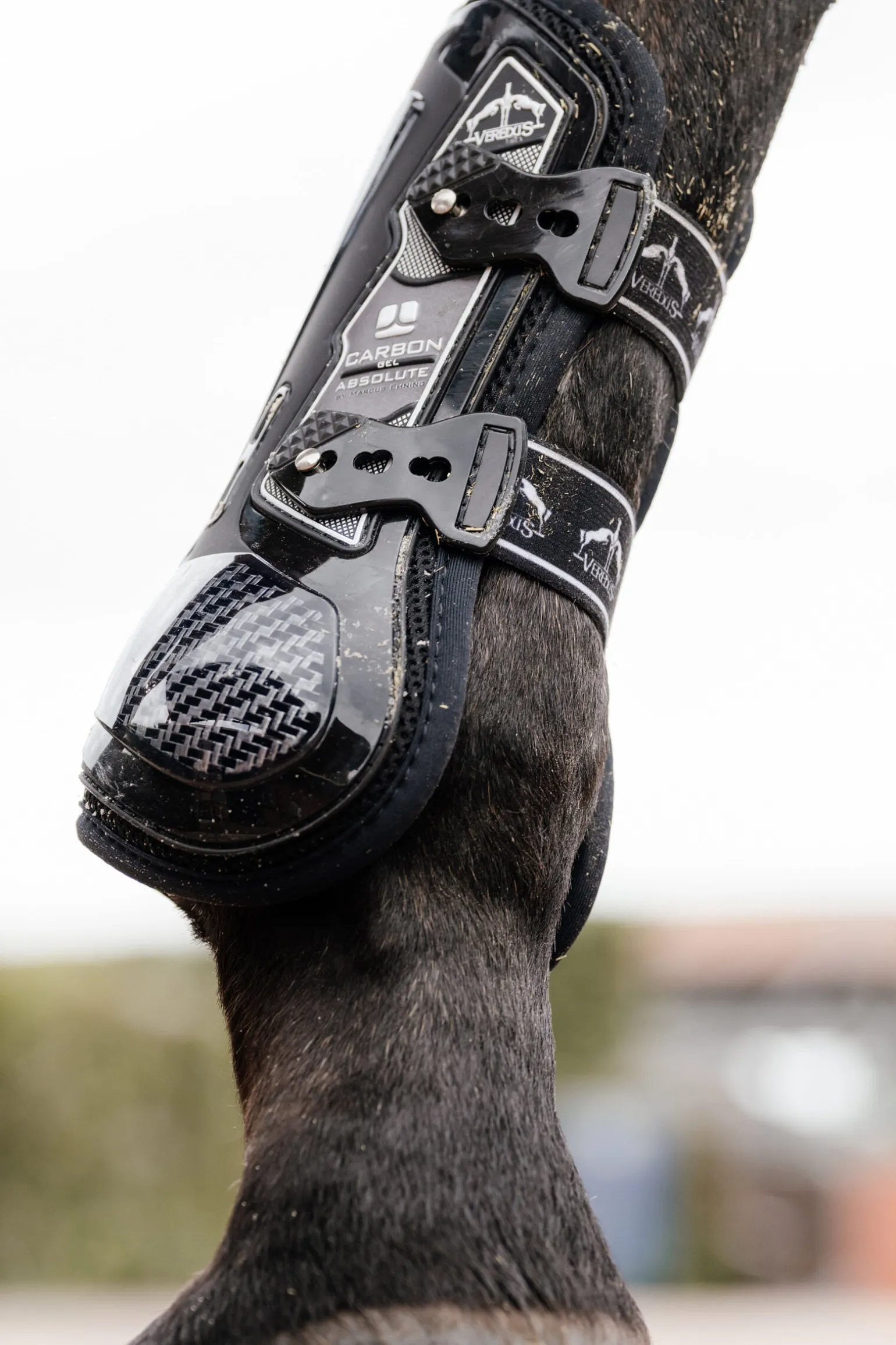 Veredus Carbon Gel Absolute senebelegg