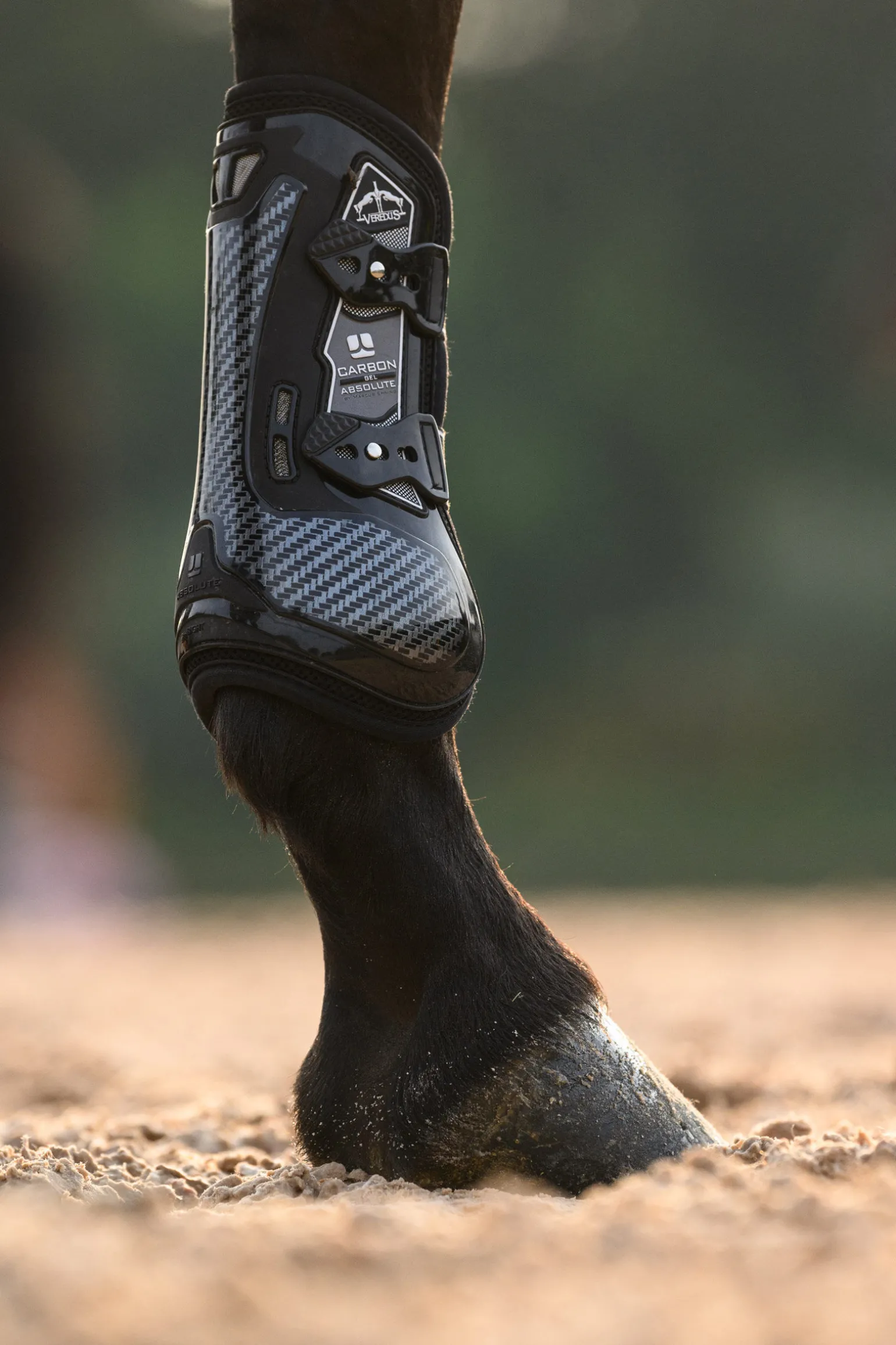 Veredus Carbon Gel Absolute senebelegg