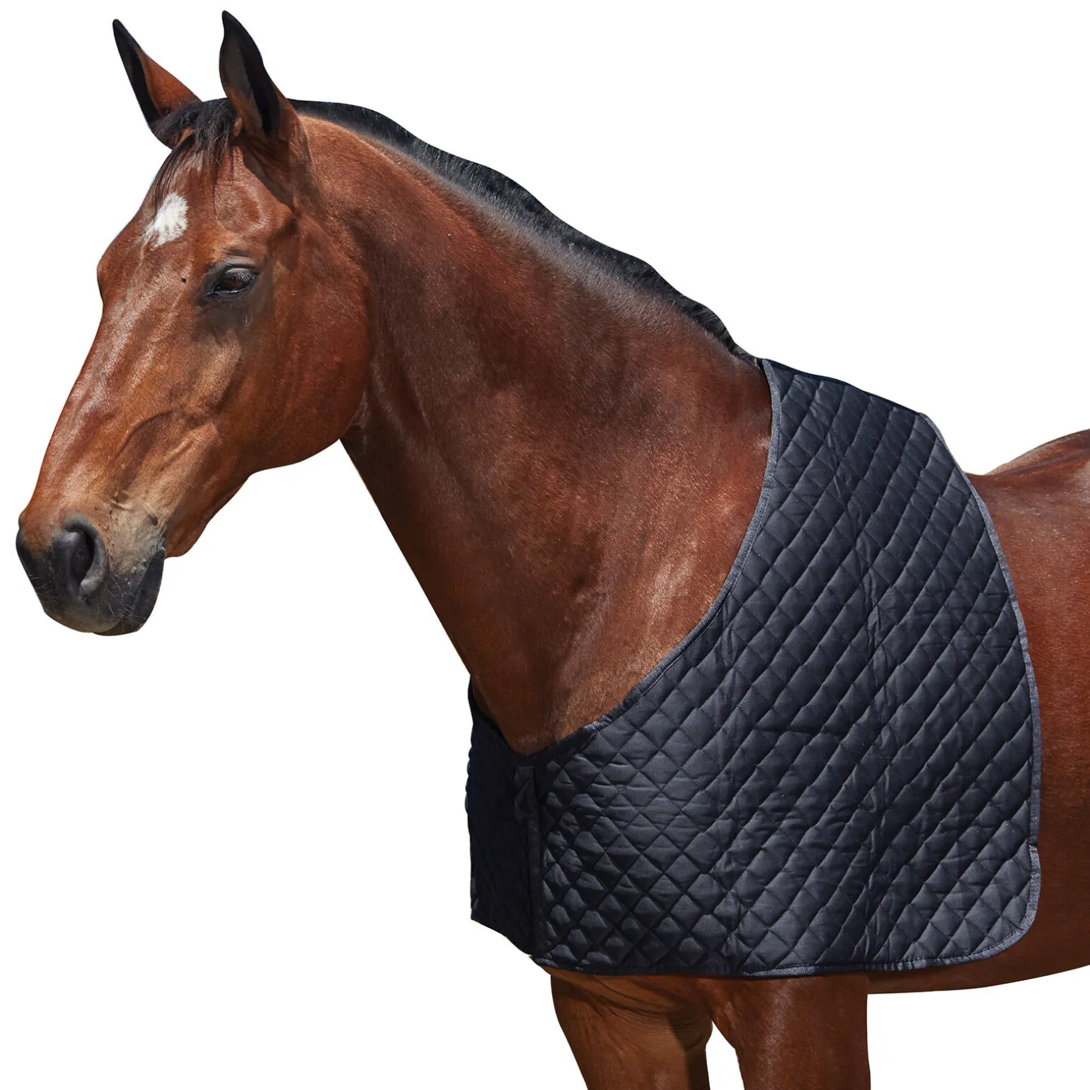 Weatherbeeeta Deluxe bogbeskyttelse