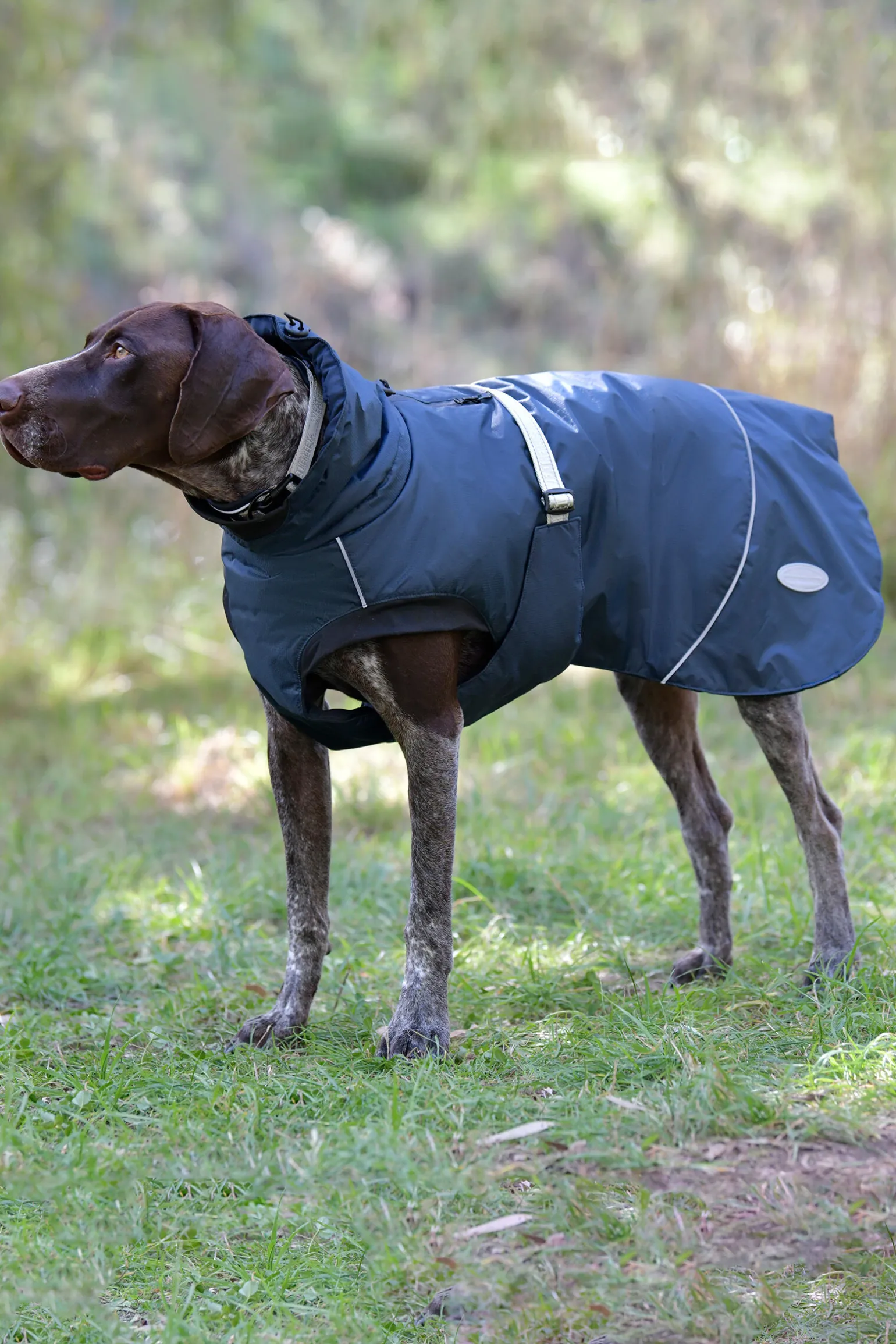 Weatherbeeta Explorer Medium Hundefrakk