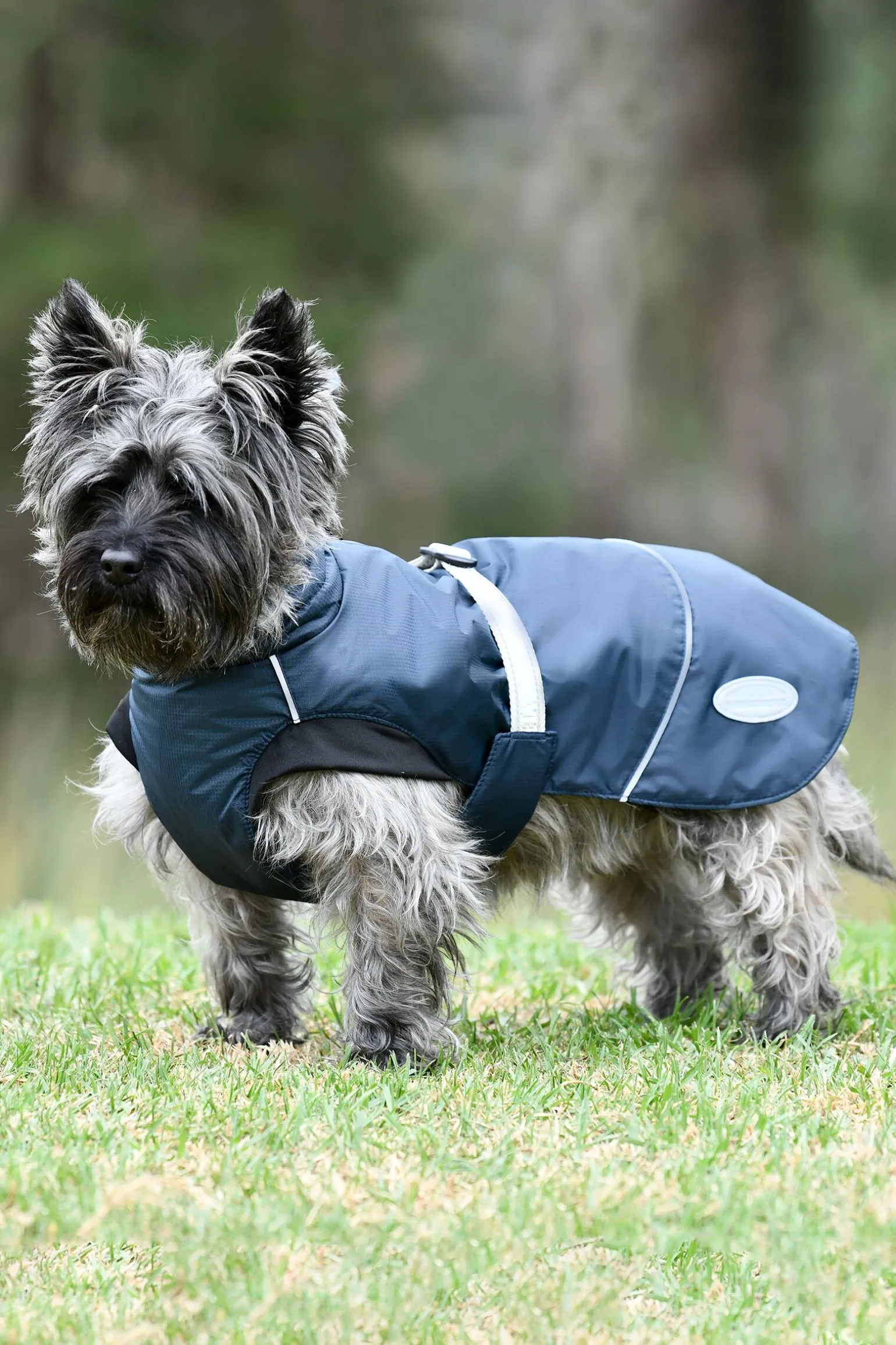 Weatherbeeta Explorer Medium Hundefrakk