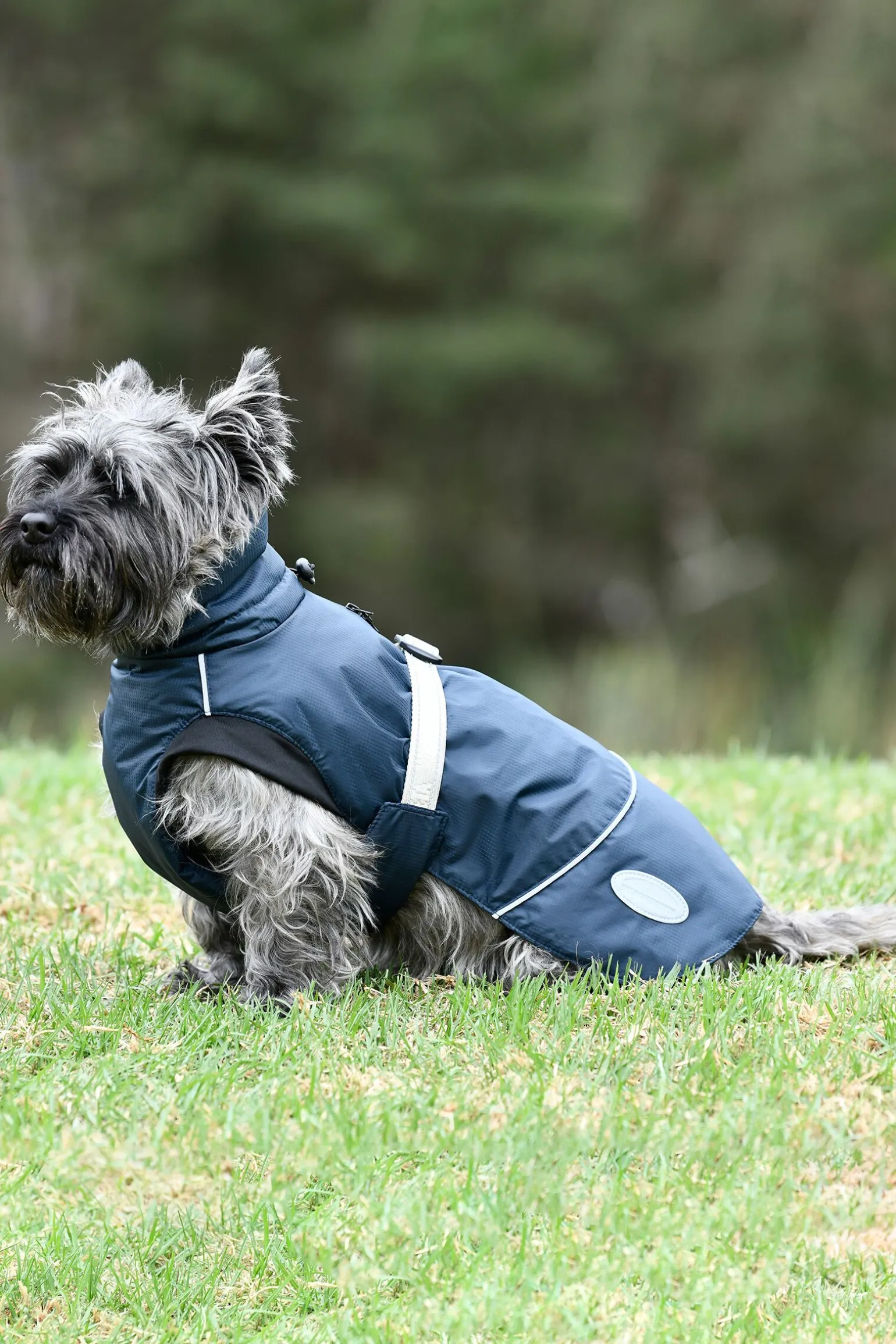 Weatherbeeta Explorer Medium Hundefrakk